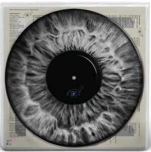WE (PICTURE DISC)