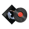 DaftPunk_RandomAccessMemories_2lps_ercerOjo RANDOM ACCESS MEMORIES