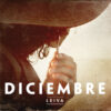 Leiva_Diciembre_TercerOjo DICIEMBRE (PICTURE DISC)